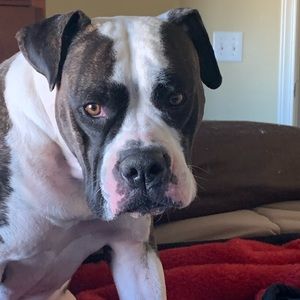 Meet your Posher, Tricia